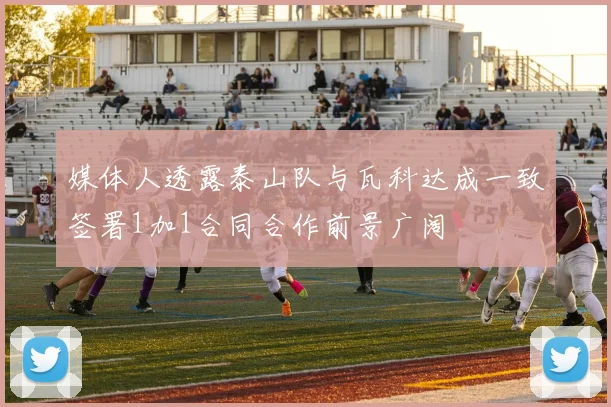 媒体人透露泰山队与瓦科达成一致签署1加1合同合作前景广阔