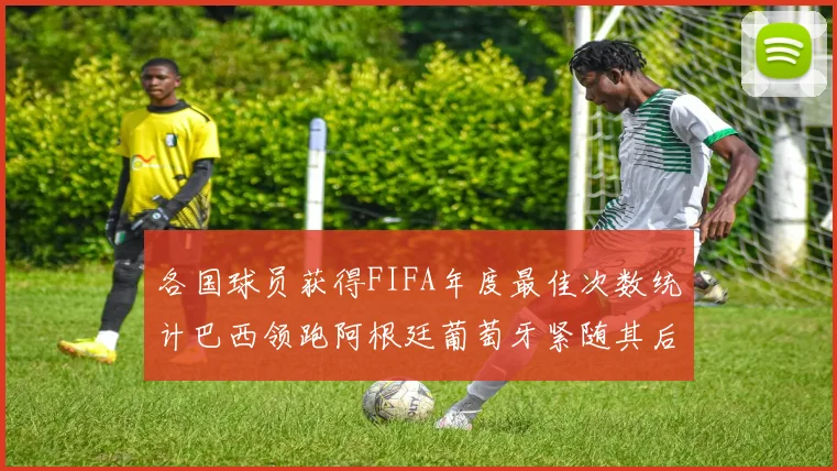 各国球员获得FIFA年度最佳次数统计巴西领跑阿根廷葡萄牙紧随其后