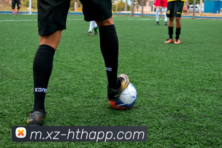 多媒体互动体验